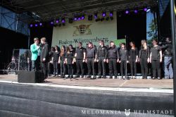 19 Branik Wills Wissen