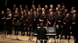 Vocalensemble Melomania