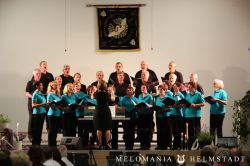 Liederzauber 2014 20140629 1454767942