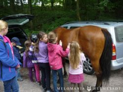 Reiterhofausflug 2014 20140629 1273165841