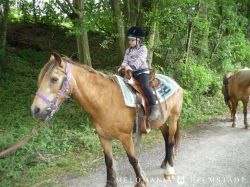 Reiterhofausflug 2014 20140629 1839270112