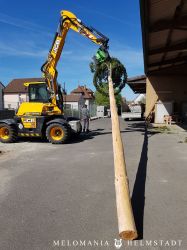 Maibaum2018 04