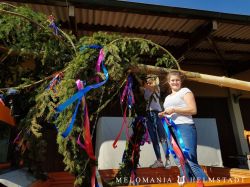 Maibaum2018 06