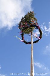 Maibaum2018 19