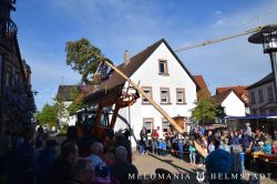 Maibaum2018 14