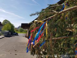 Maibaum2018 07