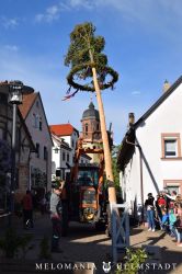 Maibaum2018 15