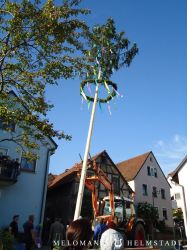 2019 Maibaum 40