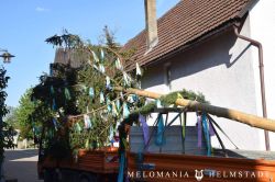 2019 Maibaum 65