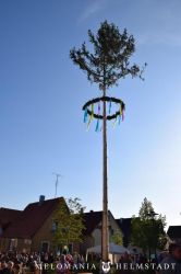 2019 Maibaum 102