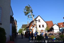 2019 Maibaum 87