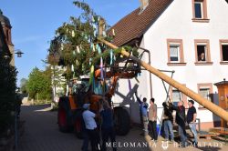 2019 Maibaum 83