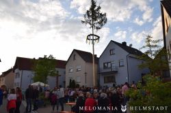 2019 Maibaum 124