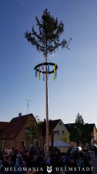2019 Maibaum 26