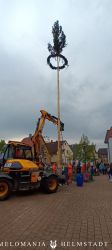 2022 Maibaum 14