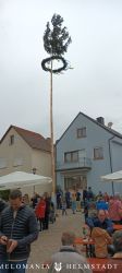 2022 Maibaum 16