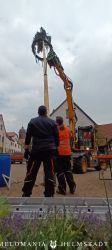 2022 Maibaum 13