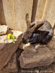 Osterferienprogramm11