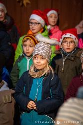 2023 Adventsfenster 08