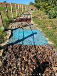 20231001 ZeichenSetzen 04