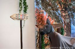 20241013 Flohmarkttheater 11