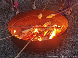 20250815 Melo Camp 15