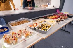 2026Faschigsprobe029