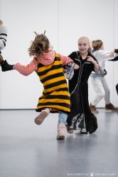 2026Faschigsprobe001