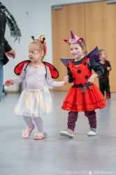 2026Faschigsprobe051