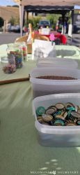 20260810 Ferienprogramm SingBus 09