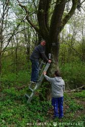 2022 Melodienweg Beschilderung 22