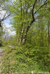 2022 Melodienweg Beschilderung 32