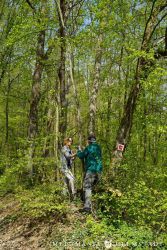 2022 Melodienweg Beschilderung 15