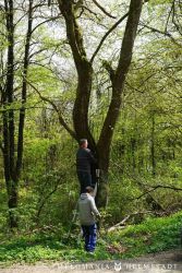 2022 Melodienweg Beschilderung 16