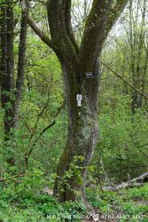 2022 Melodienweg Beschilderung 24