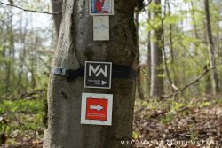 2022 Melodienweg Beschilderung 38