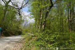 2022 Melodienweg Beschilderung 33