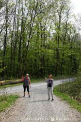 2022 Melodienweg Beschilderung 40