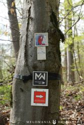 2022 Melodienweg Beschilderung 37