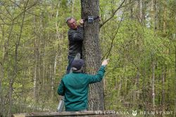 2022 Melodienweg Beschilderung 39