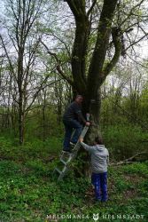 2022 Melodienweg Beschilderung 21