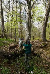 2022 Melodienweg Beschilderung 29