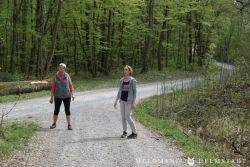 2022 Melodienweg Beschilderung 41