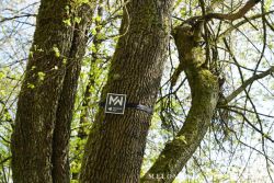 2022 Melodienweg Beschilderung 30