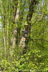 2022 Melodienweg Beschilderung 31