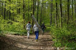 2022 Melodienweg Beschilderung 47