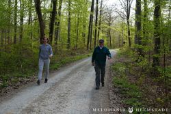 2022 Melodienweg Beschilderung 48